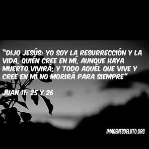 Meet your Posher, Efigenia